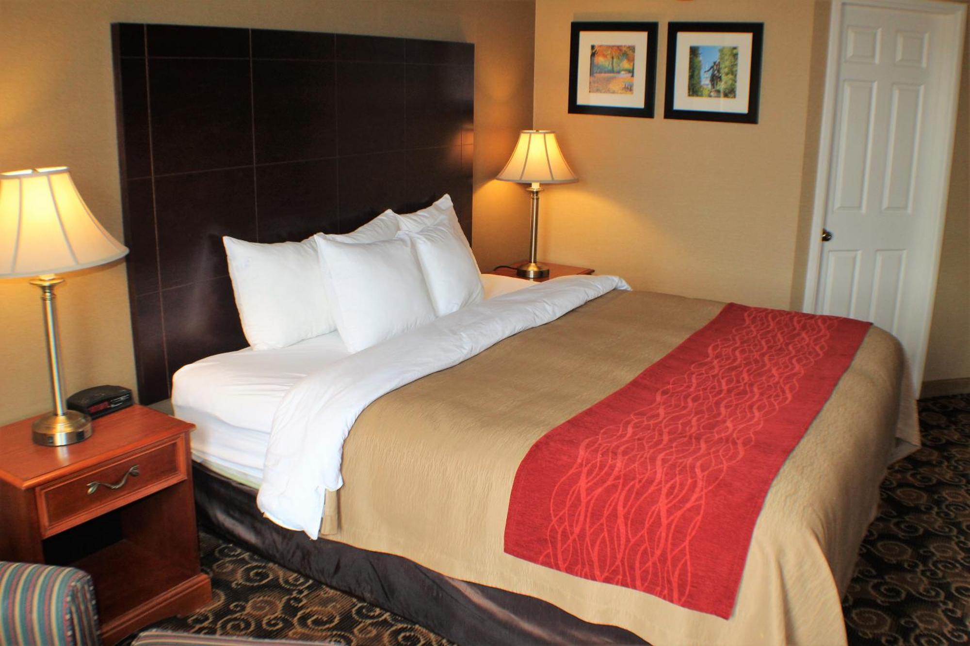 Comfort Inn Rockland - Boston Extérieur photo