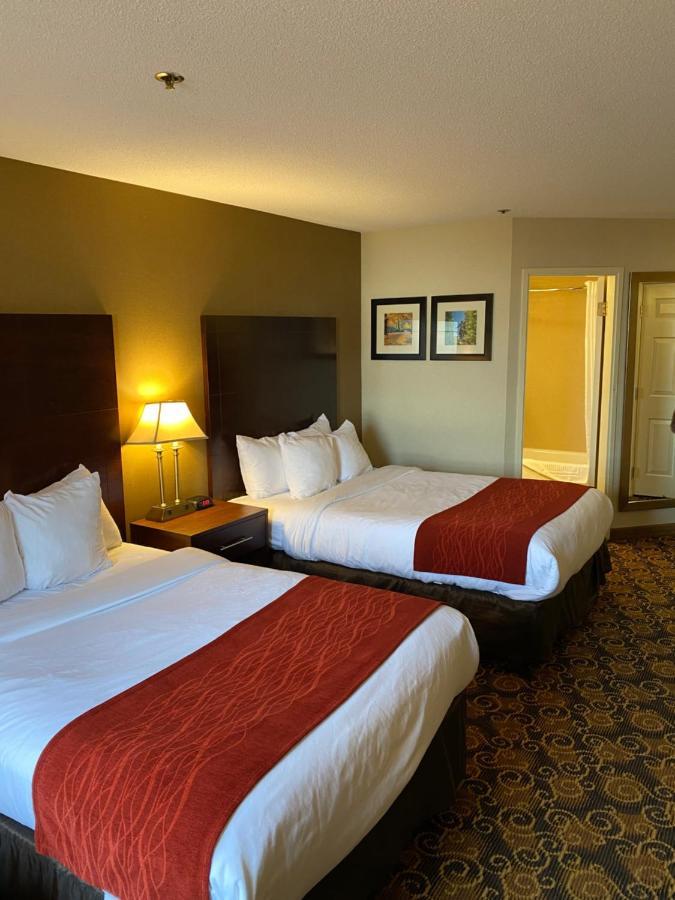 Comfort Inn Rockland - Boston Extérieur photo